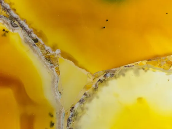 Detalle de Ágata Amarilla: bandas amarillas y ámbar con borde cristalino gris