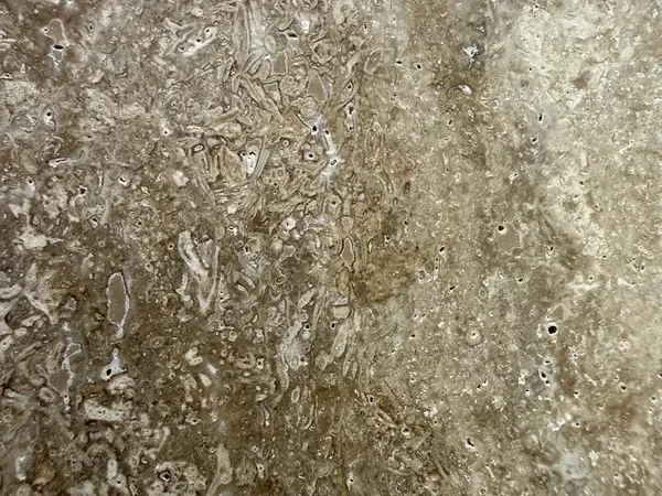 Placa de Travertino Noce: marrón grisáceo con manchas claras irregulares y poros visibles